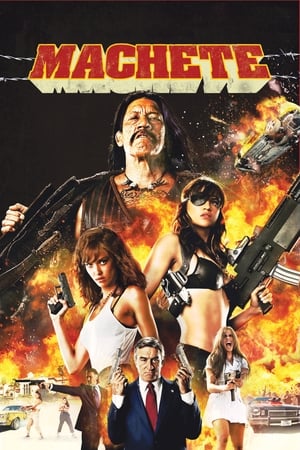 Machete 2010 Hindi Dual Audio 480p BluRay 300MB HD Poster Download - Filmy4waps