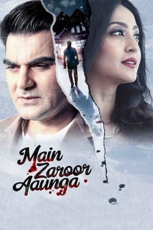Main Zaroor Aaunga 2019 Hindi Movie 720p HDRip x264 [670MB] HD Poster Download - Filmy4waps