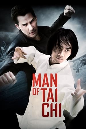 Man of Tai Chi (2013) Hindi Dual Audio HDRip 720p – 480p HD Poster Download - Filmy4waps