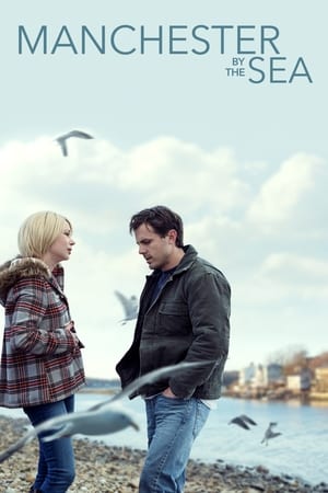 Manchester by the Sea 2016 Hindi Dual Audio 720p BluRay [1.3GB] HD Poster Download - Filmy4waps
