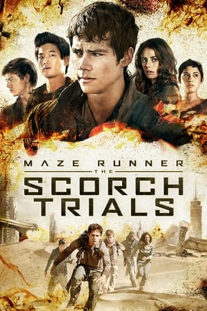 Maze Runner The Scorch Trials (2015) Hindi Dual Audio 720p BluRay [1.3GB] HD Poster Download - Filmy4waps
