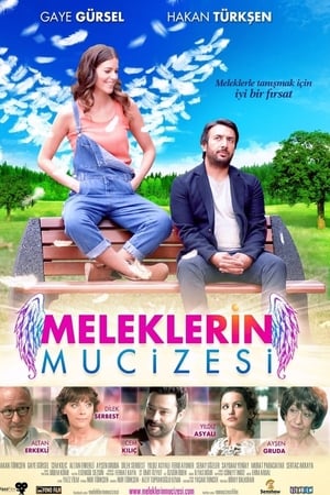 Meleklerin mucizesi (2014) Hindi Dual Audio 720p Web-DL [600MB] HD Poster Download - Filmy4waps
