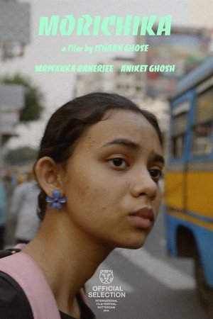 Mirage (2025) WEBRIP Hindi (MULTI AUDIO) 720p – 480p – 1080p