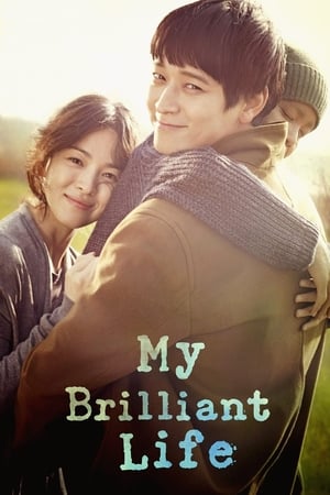 My Brilliant Life (2014) Hindi Dual Audio HDRip 1080p – 720p – 480p HD Poster Download - Filmy4waps