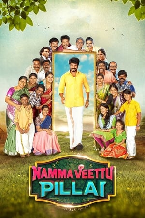 Namma Veettu Pillai (2019) (Hindi – Tamil) Dual Audio 480p UnCut HDRip 450MB HD Poster Download - Filmy4waps