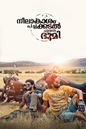 Neelakasham Pachakadal Chuvanna Bhoomi (2013) Hindi Dubbed 480p HDRip 450MB HD Poster Download - Filmy4waps
