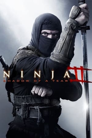 Ninja Shadow of a Tear 2013 Hindi Dual Audio 720p BluRay [800MB] HD Poster Download - Filmy4waps