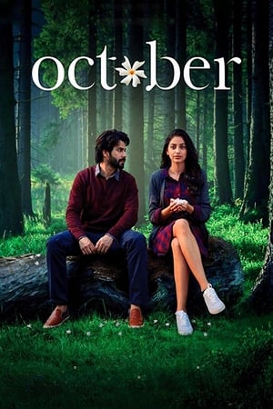 October (2018) Movie 720p BluRay x264 [900MB] HD Poster Download - Filmy4waps