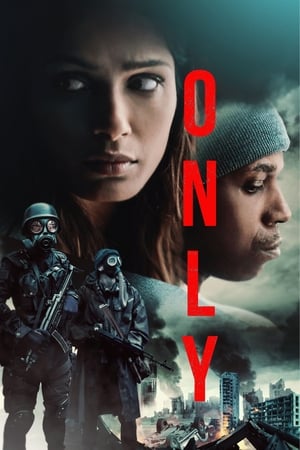 Only 2019 Hindi Dual Audio 480p Web-DL 300MB HD Poster Download - Filmy4waps
