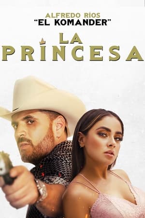 Prince 2022 Hindi (HQ Dubbed) Movie Pre-DVDRip 720p – 480p HD Poster Download - Filmy4waps
