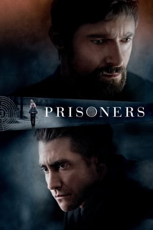 Prisoners 2013 Hindi Dual Audio 720p BluRay [1.2GB] ESubs HD Poster Download - Filmy4waps