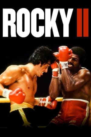 Rocky II (1979) Dual Audio Hindi Full Movie 720p Bluray - 850MB HD Poster Download - Filmy4waps