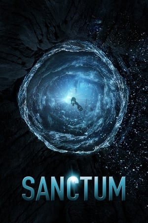 Sanctum (2011) Hindi Dual Audio 480p BluRay 300MB HD Poster Download - Filmy4waps