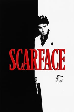 Scarface (1983) Dual Audio Hindi Movie 720p BluRay - 1.4GB HD Poster Download - Filmy4waps