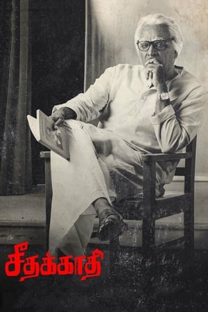 Seethakaathi (2018) Hindi Dubbed 480p HDRip 400MB HD Poster Download - Filmy4waps
