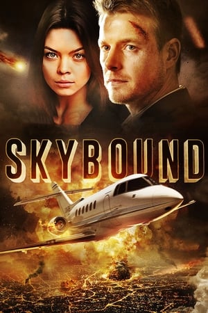 Skybound (2017) Hindi Dual Audio 480p BluRay 350MB HD Poster Download - Filmy4waps