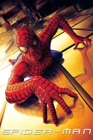 Spider-Man (2002) Hindi Dual Audio 720p BluRay [820MB] HD Poster Download - Filmy4waps