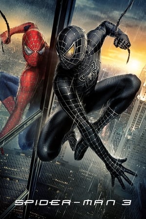 Spider-Man 3 (2007) Movie Hindi Dual Audio 720p Bluray [800MB] HD Poster Download - Filmy4waps