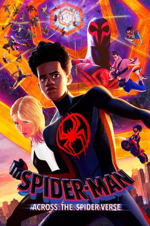 Spider-Man: Across the Spider-Verse 2023 Hindi (ORG) HDRip | 720p | 480p HD Poster Download - Filmy4waps