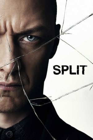 Split (2016) Hindi Dual Audio 480p BluRay 400MB HD Poster Download - Filmy4waps