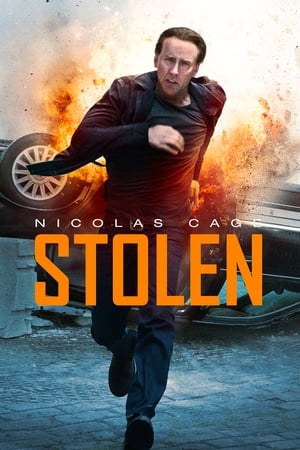 Stolen (2012) Hindi Dual Audio 480p BluRay 300MB ESubs HD Poster Download - Filmy4waps