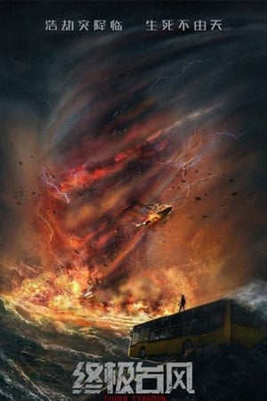 Super Typhoon 2020 Hindi Dual Audio HDRip 720p – 480p HD Poster Download - Filmy4waps