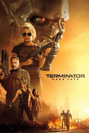 Terminator: Dark Fate (2019) Hindi (Org) Dual Audio 720p BluRay [1GB] HD Poster Download - Filmy4waps