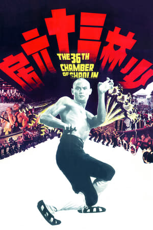 the 36th Chamber of Shaolin 1978 Hindi Dual Audio 480p BluRay 360MB HD Poster Download - Filmy4waps