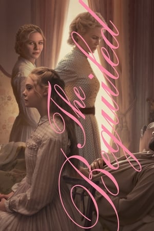 The Beguiled (2017) Hindi Dual Audio 480p BluRay 330MB HD Poster Download - Filmy4waps