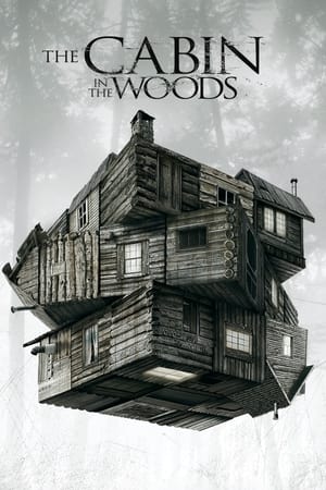 The Cabin in the Woods 2012 Dual Audio Hindi 480p BluRay 300MB ESubs HD Poster Download - Filmy4waps