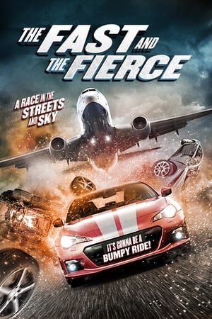 The Fast and the Fierce 2017 Hindi Dual Audio 720p BluRay [900MB] HD Poster Download - Filmy4waps