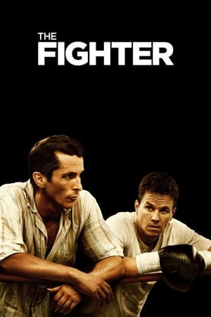 The Fighter (2010) Hindi Dual Audio 480p BluRay 360MB HD Poster Download - Filmy4waps