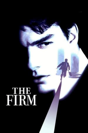 The Firm (1993) Hindi Dual Audio 480p BluRay 450MB HD Poster Download - Filmy4waps