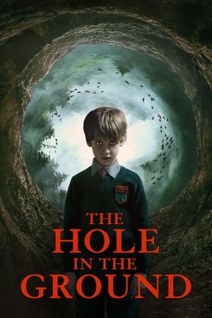 The Hole in the Ground 2019 Hindi Dual Audio 480p BluRay 300MB HD Poster Download - Filmy4waps