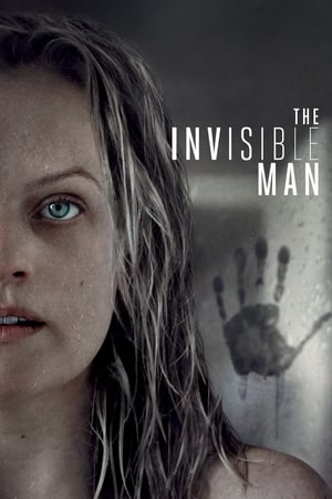 The Invisible Man (2020) Hindi (ORG) Dual Audio 480p BluRay 400MB HD Poster Download - Filmy4waps
