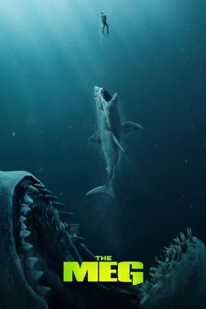 The Meg (2018) Hindi (Org) Dual Audio 480p BluRay 350MB HD Poster Download - Filmy4waps