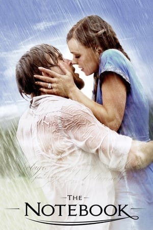 The Notebook 2004 Dual Audio Hindi Full Movie 720p BRRip - 1GB HD Poster Download - Filmy4waps