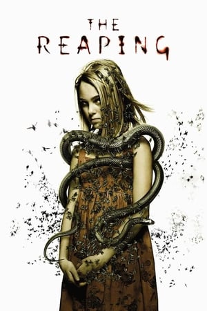 The Reaping (2007) Hindi Dual Audio 720p BluRay [700MB] HD Poster Download - Filmy4waps