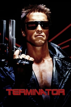 The Terminator (1984) Hindi Dual Audio 720p BluRay [800MB] HD Poster Download - Filmy4waps