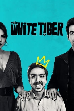 The White Tiger (2021) Hindi Movie 480p HDRip – [370MB] HD Poster Download - Filmy4waps