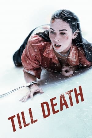 Till Death (2021) Hindi Dual Audio 720p HDRip [750MB] HD Poster Download - Filmy4waps