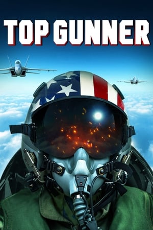 Top Gunner (2020) Hindi Dual Audio HDRip 720p – 480p HD Poster Download - Filmy4waps