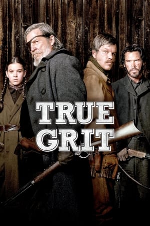 True Grit (2010) Hindi Dual Audio 480p BluRay 350MB HD Poster Download - Filmy4waps