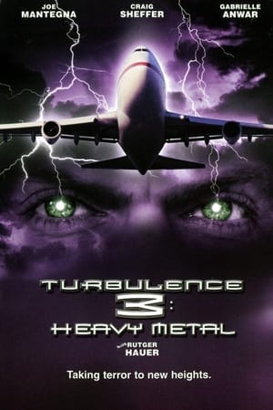 Turbulence 3 Heavy Metal 2001 Hindi Dual Audio 720p Web-DL [1GB] HD Poster Download - Filmy4waps