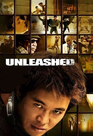 Unleashed (2005) Hindi Dual Audio 480p BluRay 360MB HD Poster Download - Filmy4waps