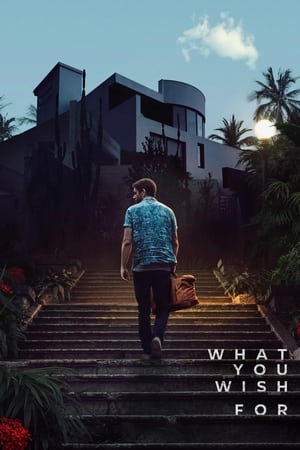What You Wish For 2023 Dual Audio Hindi HDRip 720p – 480p – 1080p HD Poster Download - Filmy4waps
