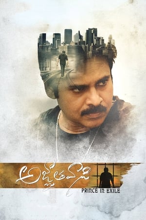 Yevadu 3 (Agnyaathavaasi) 2018 Movie Dual Audio Hindi 720p UnCut HDRip [1.5GB] HD Poster Download - Filmy4waps